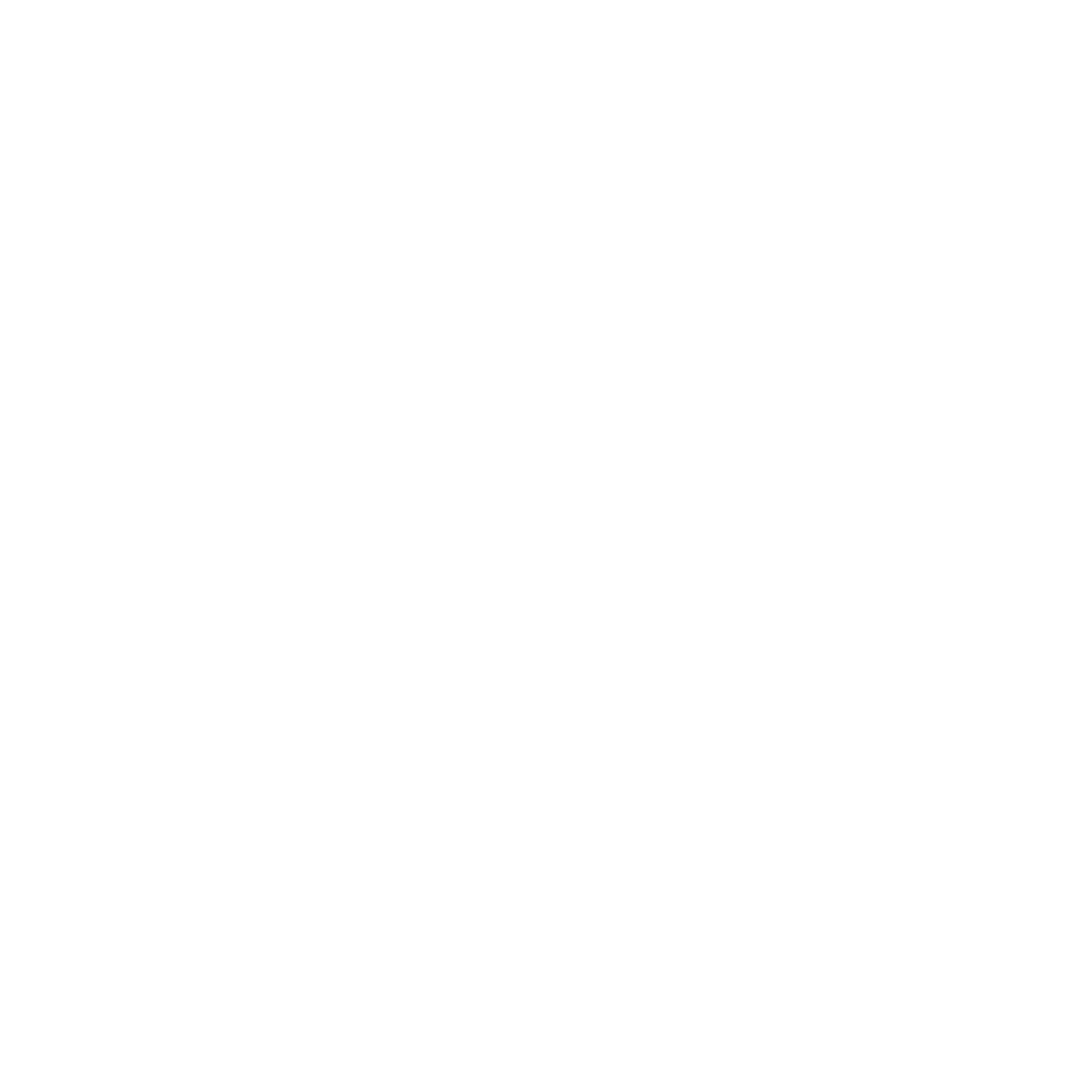PASAE logo